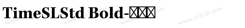 TimeSLStd Bold字体转换